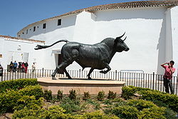 toros the bull