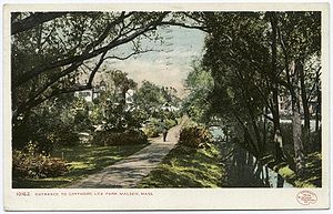 Mekong+giant+catfish+facts