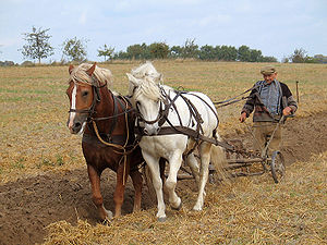 Bronze Plow