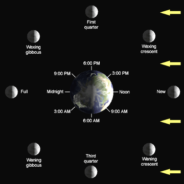 Lunar phases are the result of