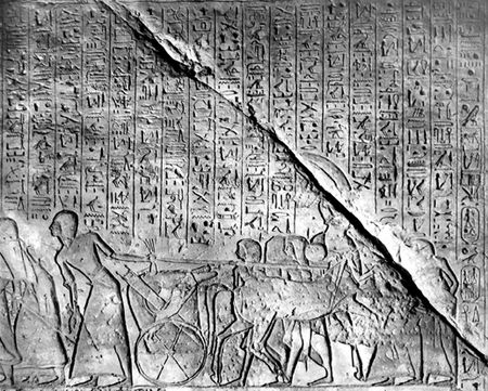battle of kadesh