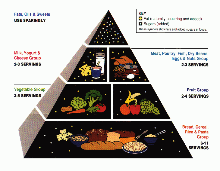 The USDA food pyramid was