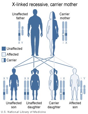 Mutations are caused