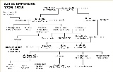 Aztec Family Tree