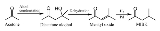 isobutyl